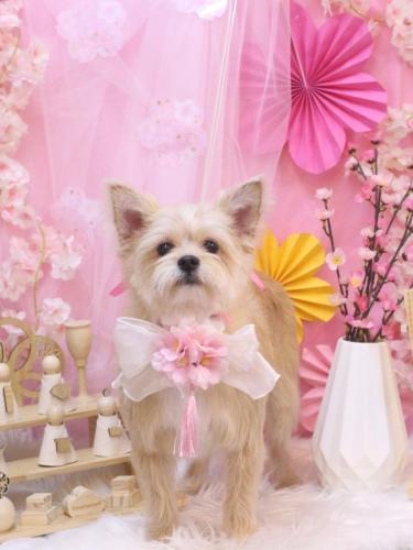 20250323リクくん 